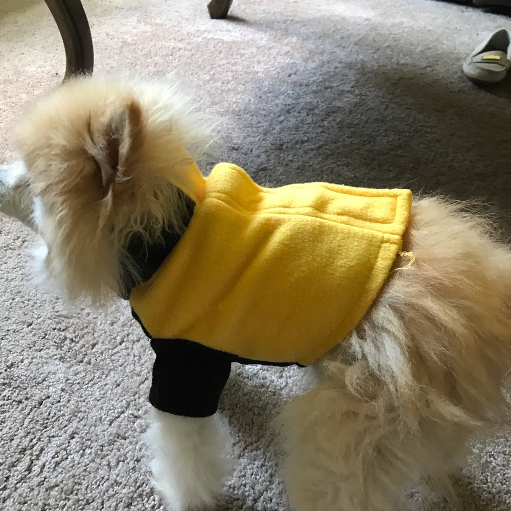 Small Dog Jacket - Picture 4 of 4
